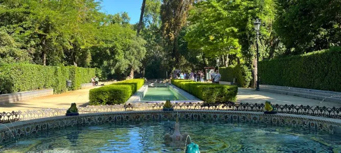 Fontaine des Grenouilles
