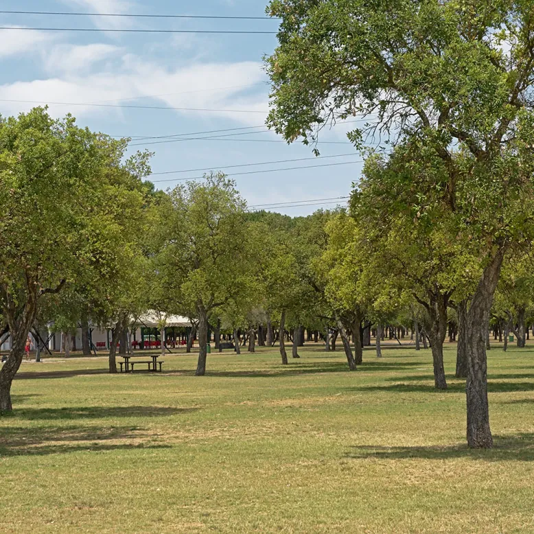 Parque del Alamillo