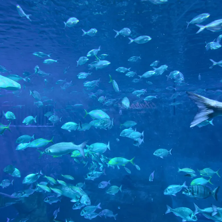 Aquarium de Séville