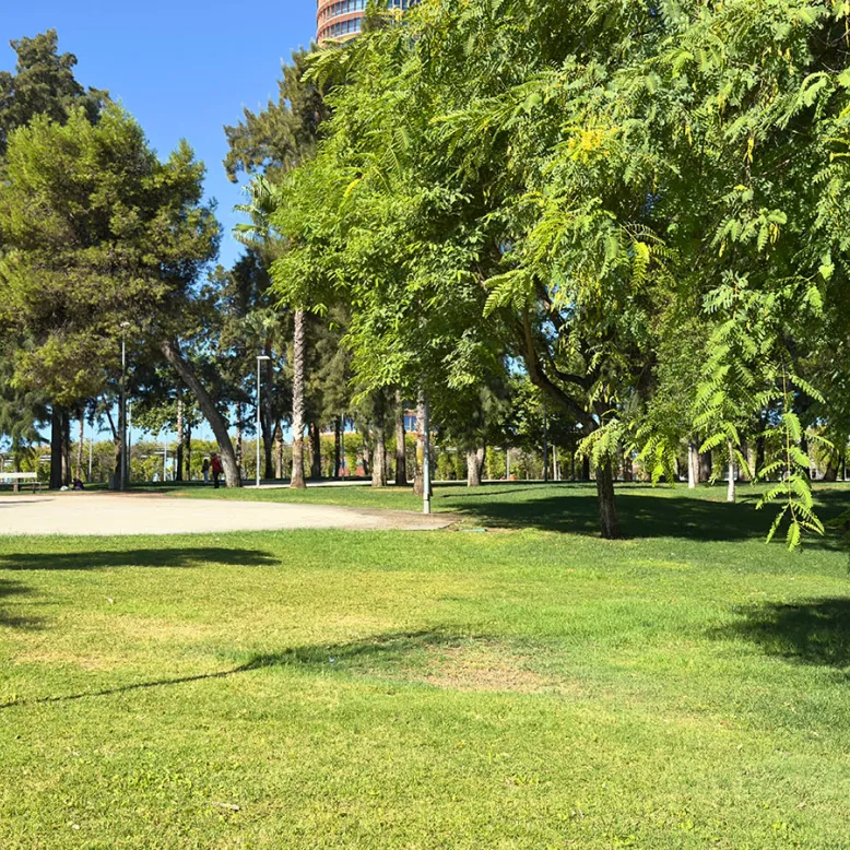 Parque Fernando Magallanes