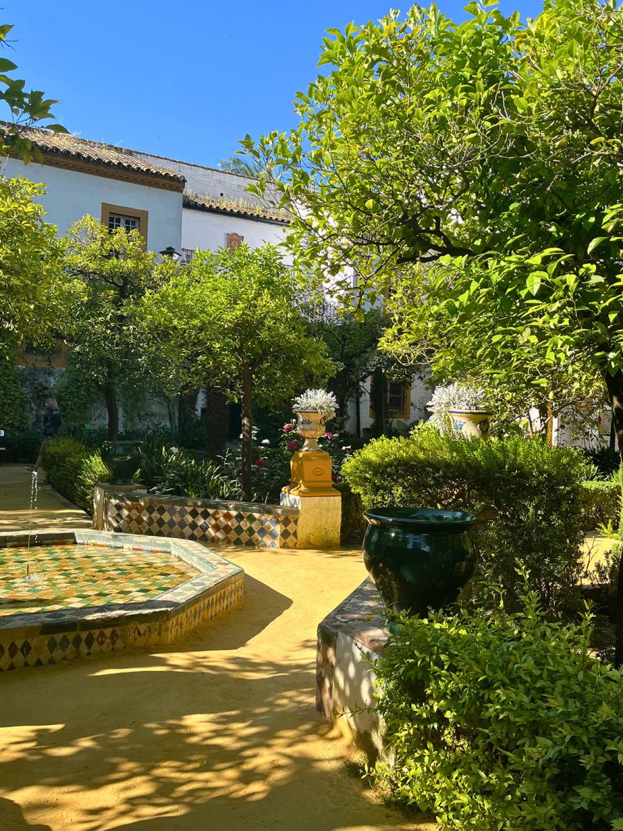 Palacio de las Dueñas - Casa de Alba