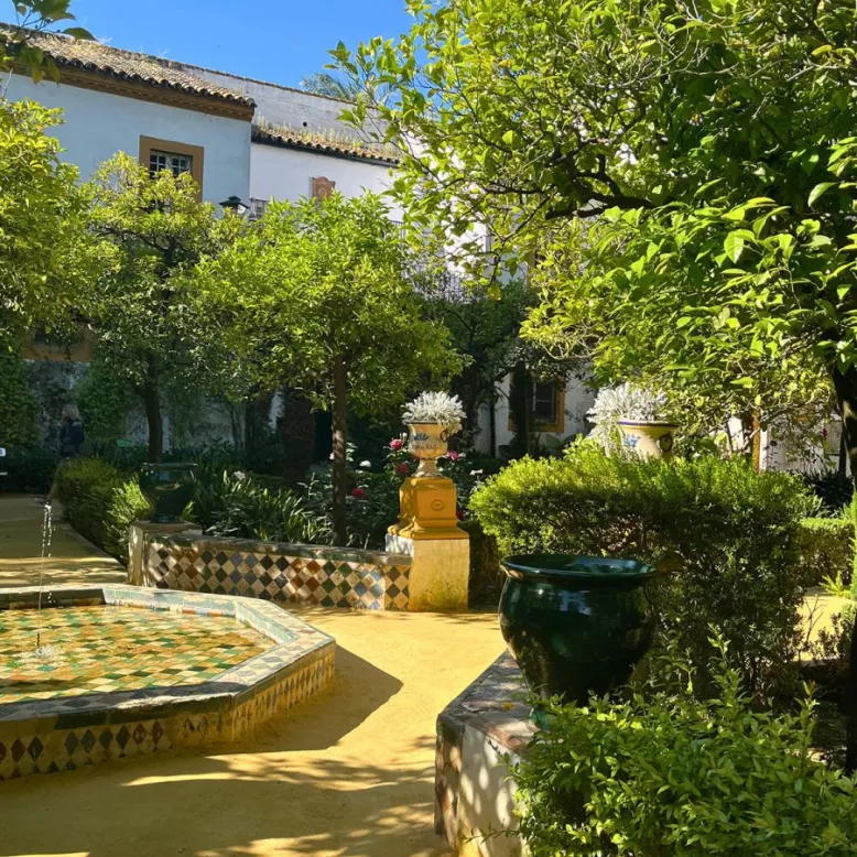 Palacio de las Dueñas - Casa de Alba