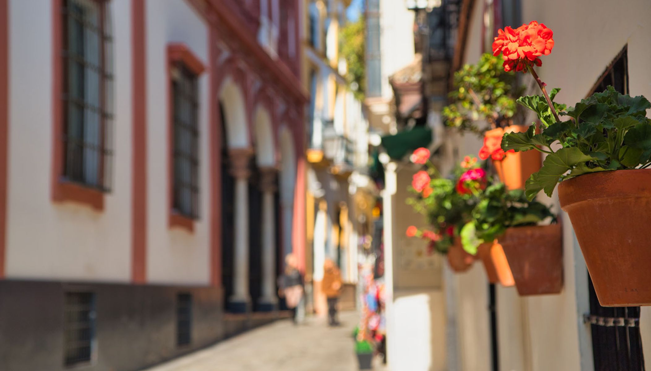 What is there to do for free in Seville?