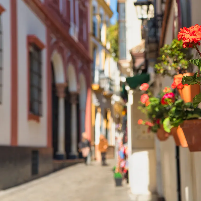 What is there to do for free in Seville?