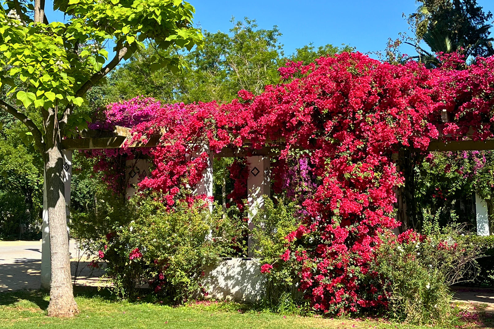 ¿Qué hacer en Sevilla en primavera?