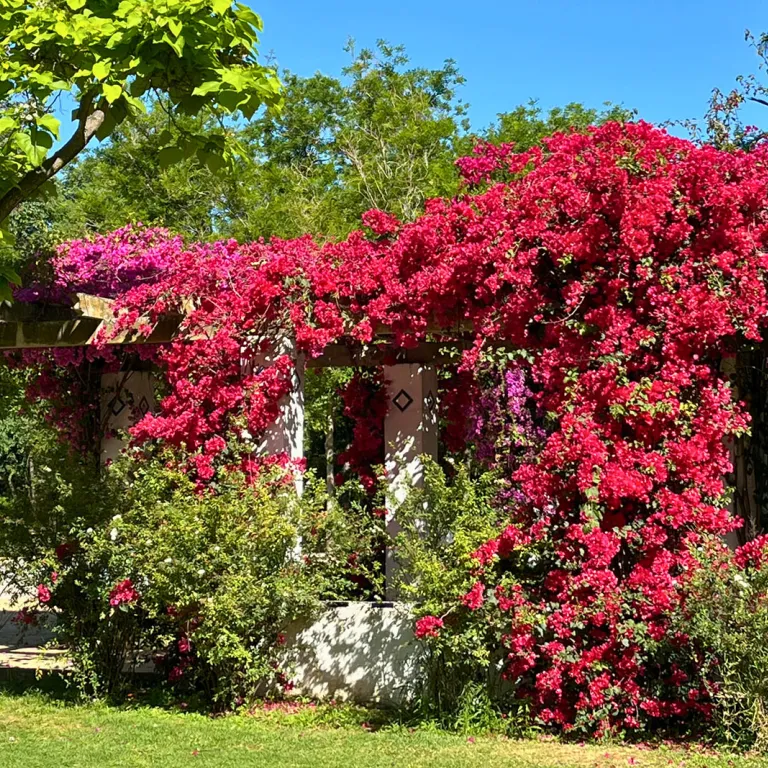 What to do in Seville in the spring?