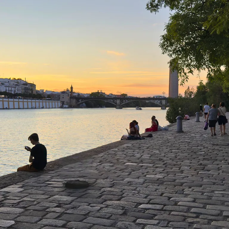 Seville in summer: the cool activities not to ...