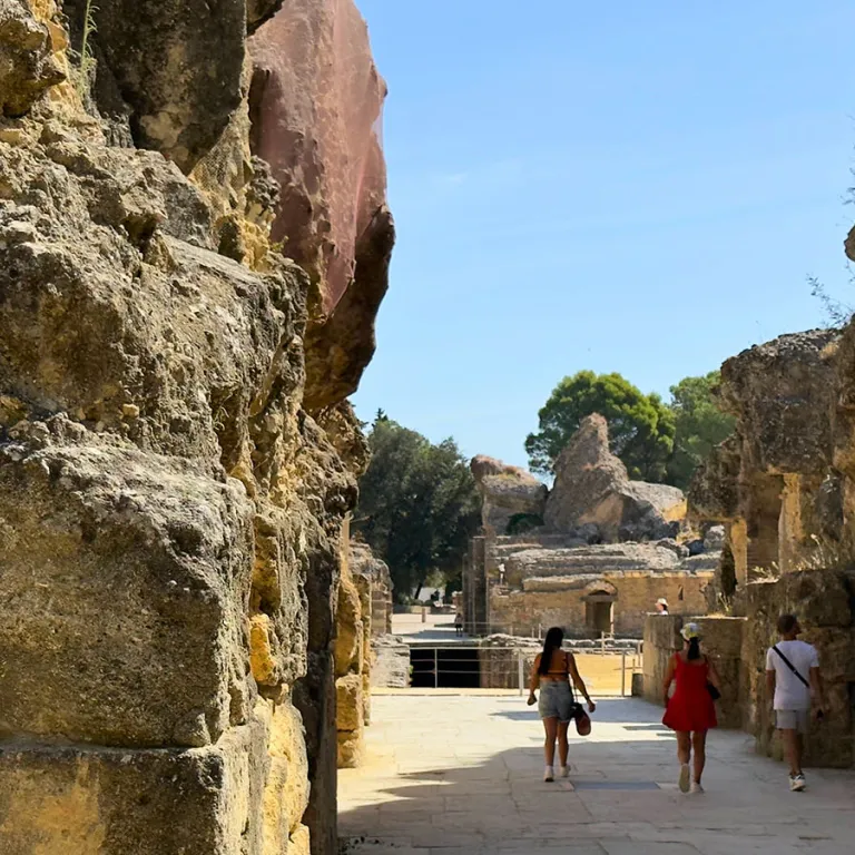 Our visit to the city of Italica and the Monas ...
