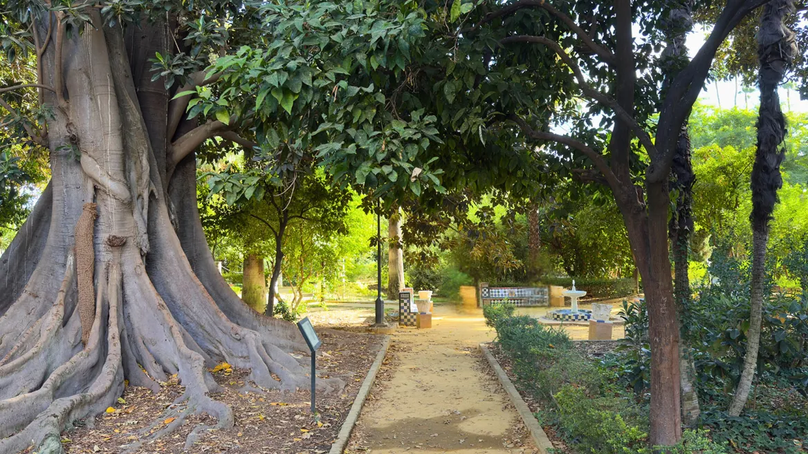 Jardins de Murillo