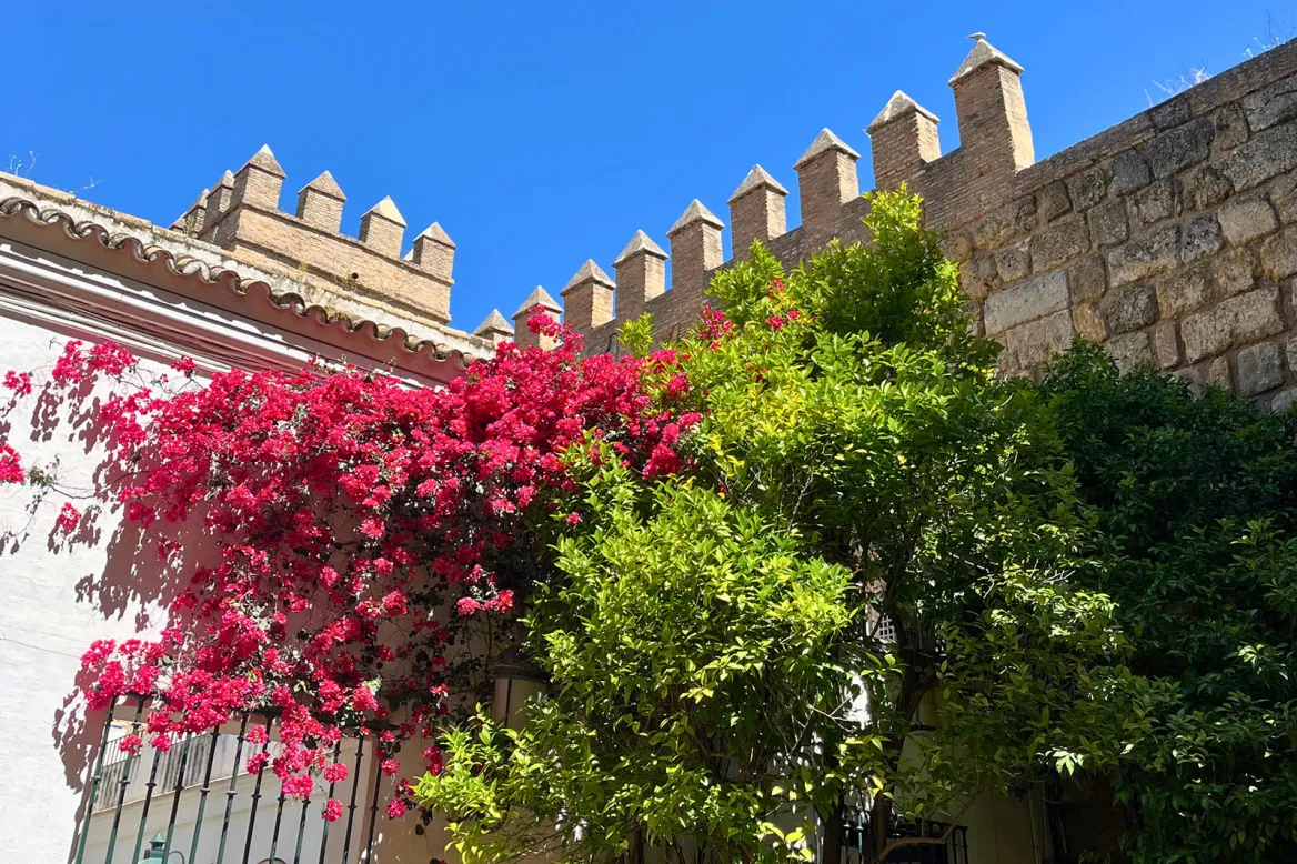 Alcazar