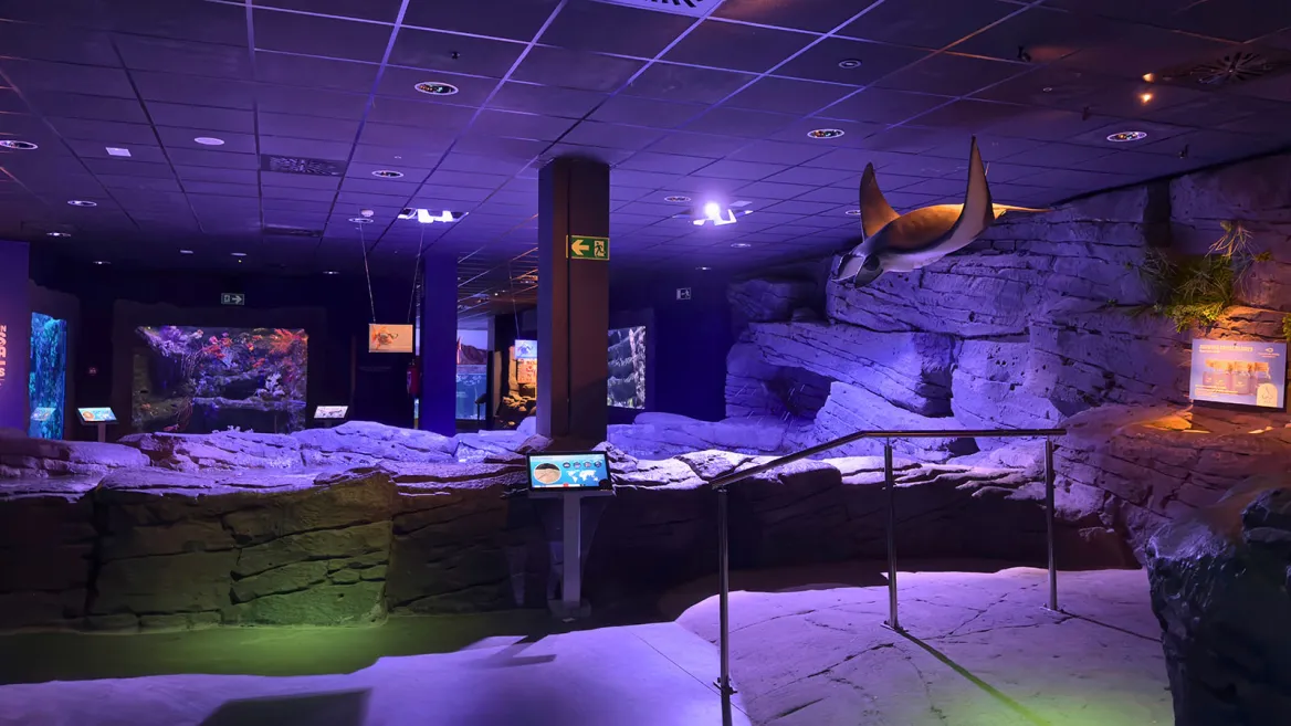 Aquarium Séville