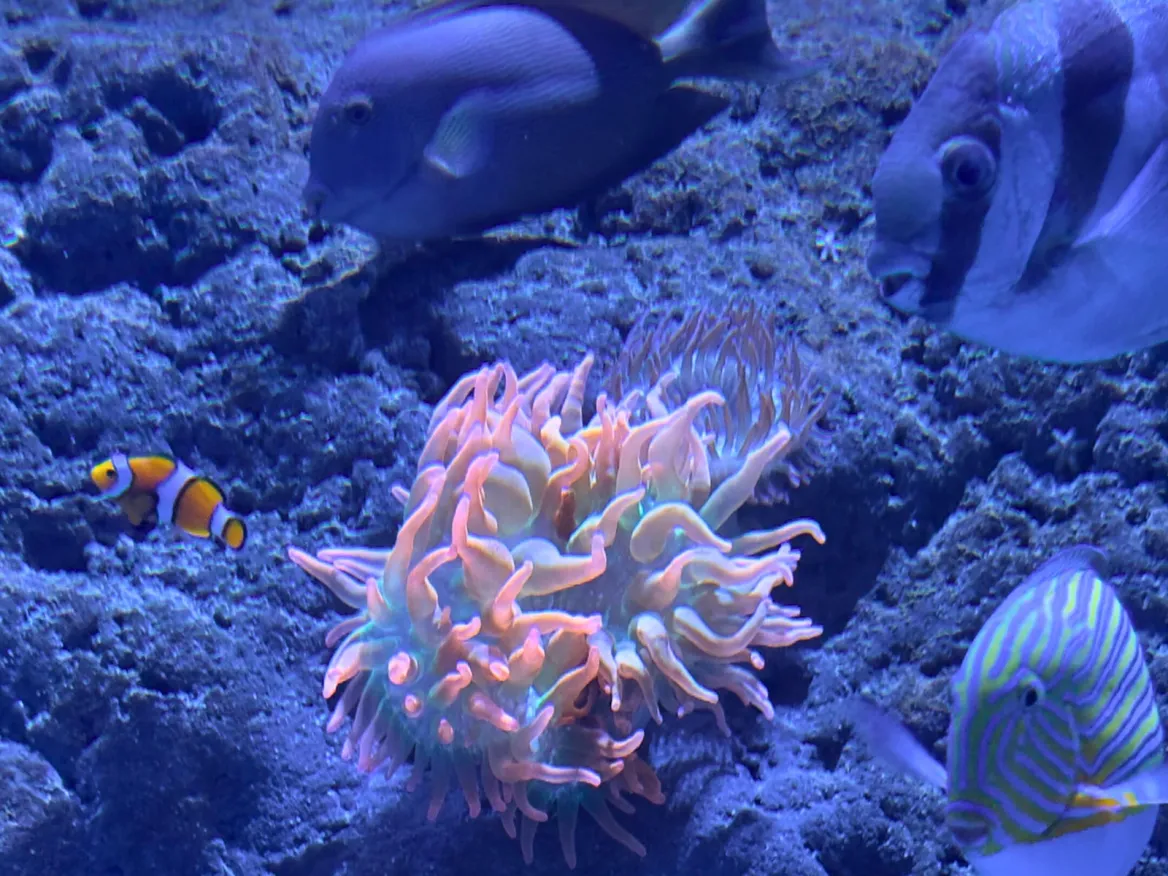 Aquarium Séville