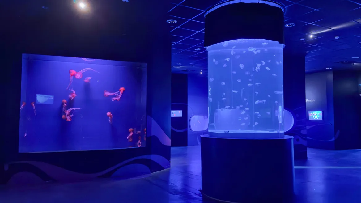 Aquarium Séville
