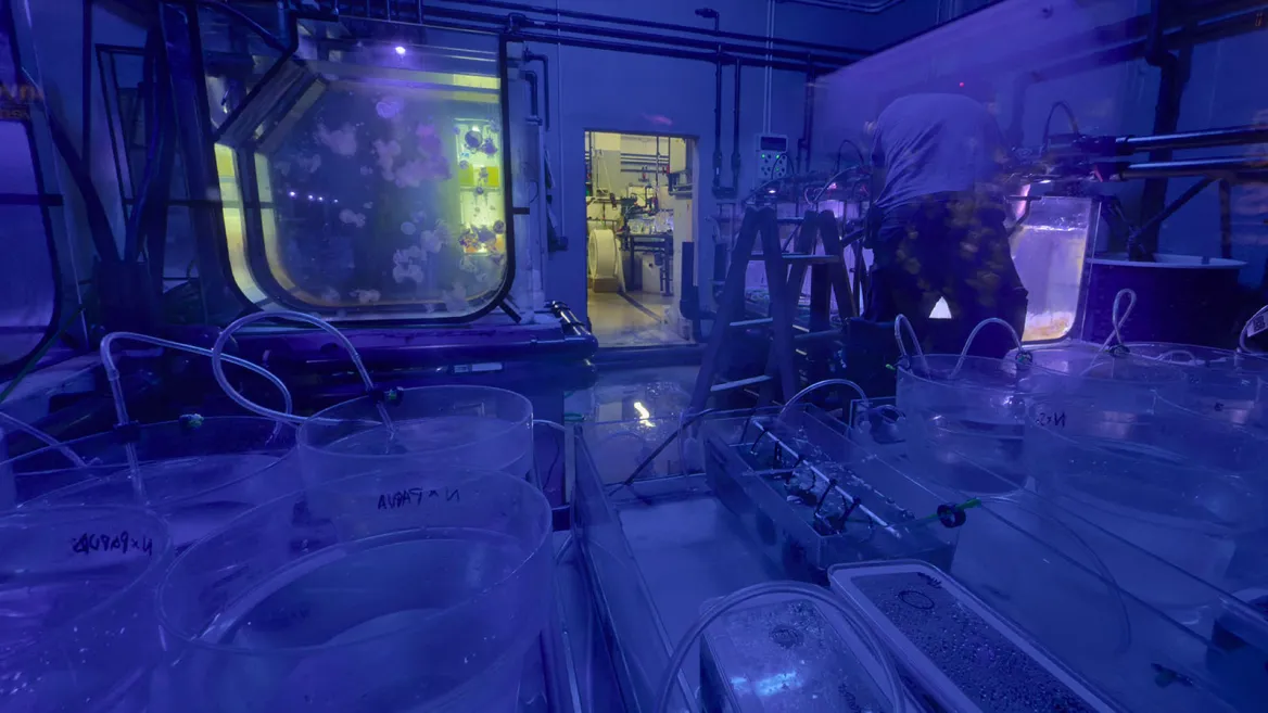 Aquarium Séville