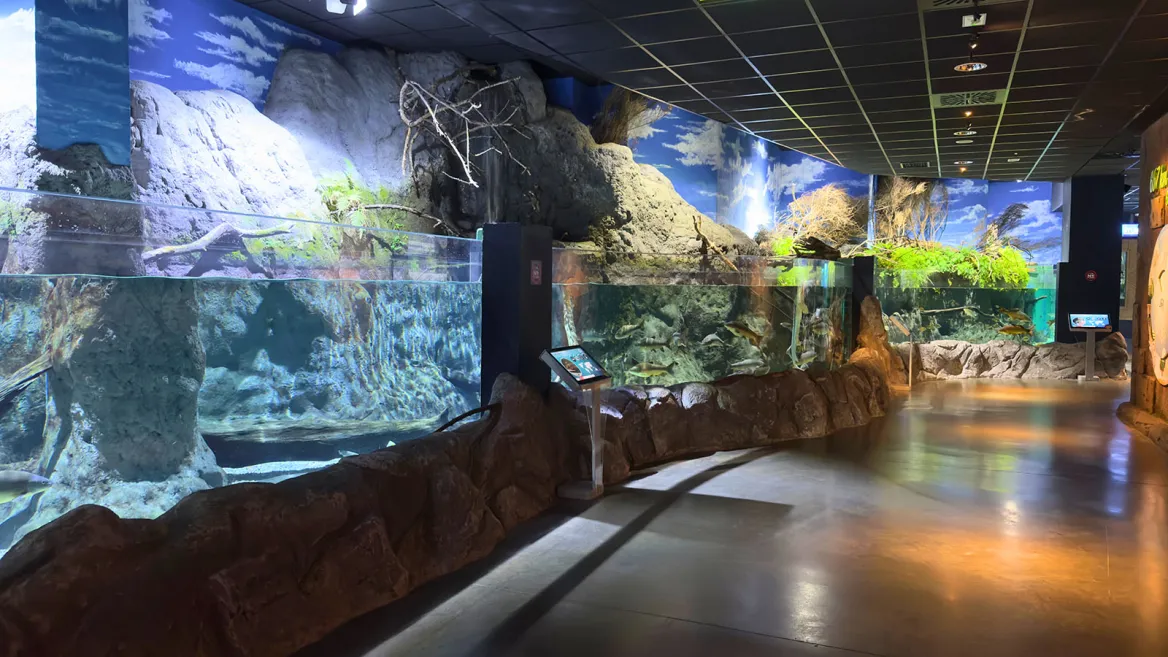 Aquarium Séville