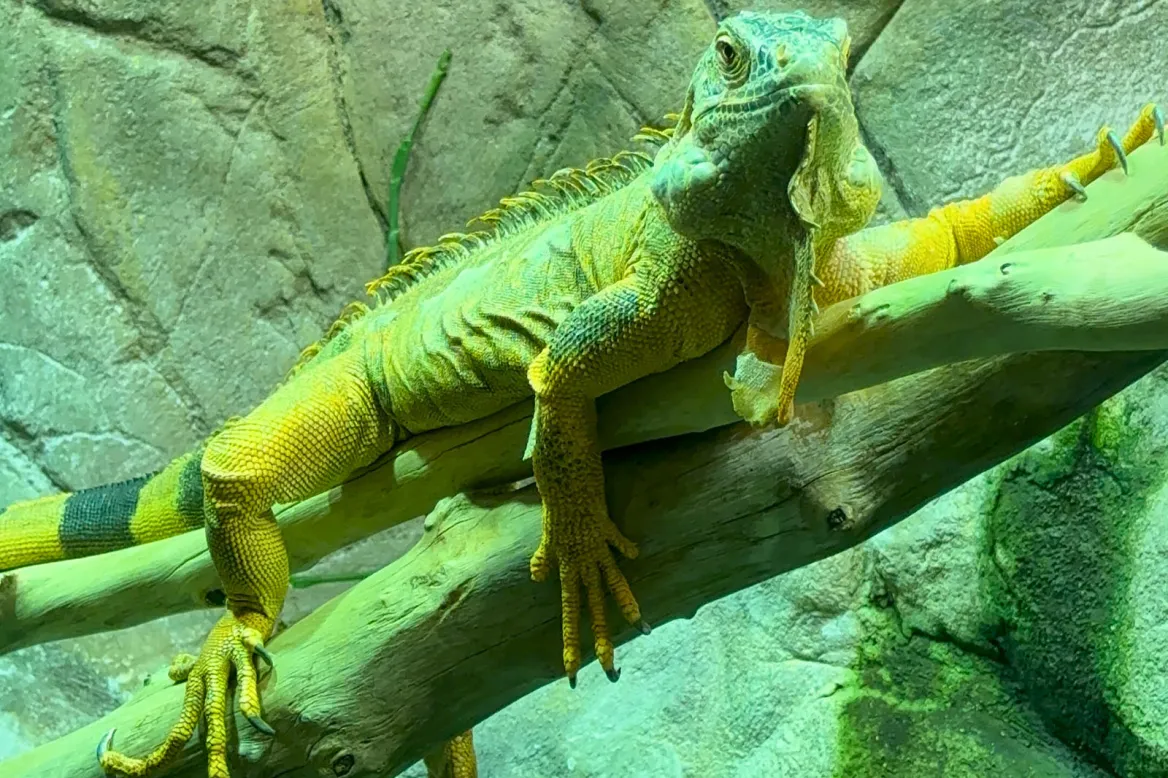 Aquarium Séville
