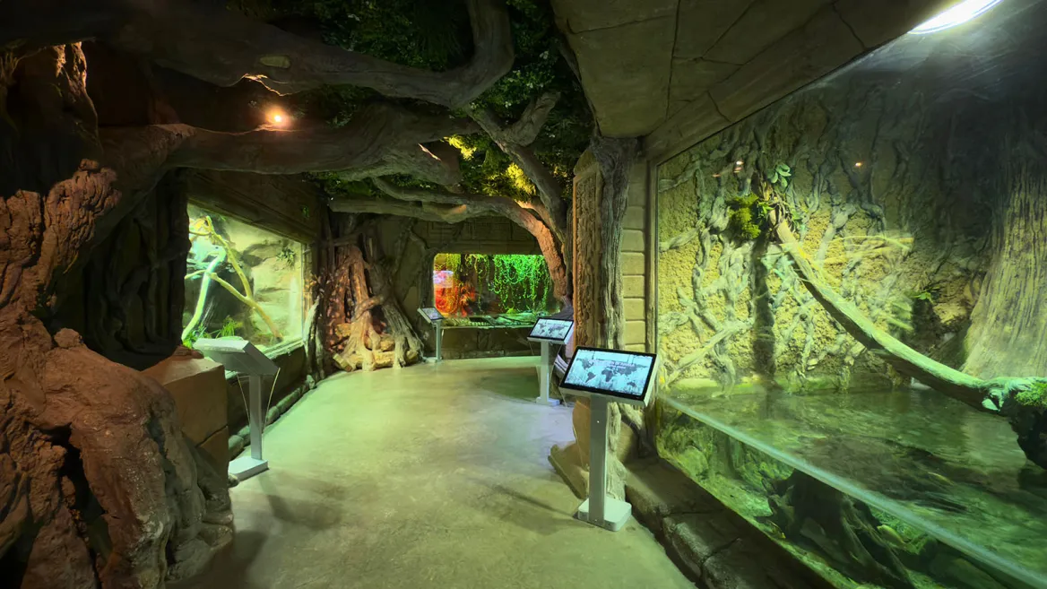 Aquarium Séville
