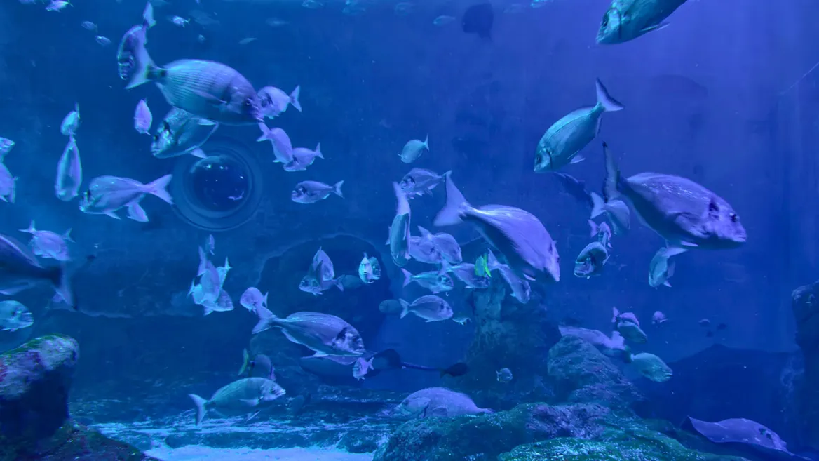Aquarium Séville