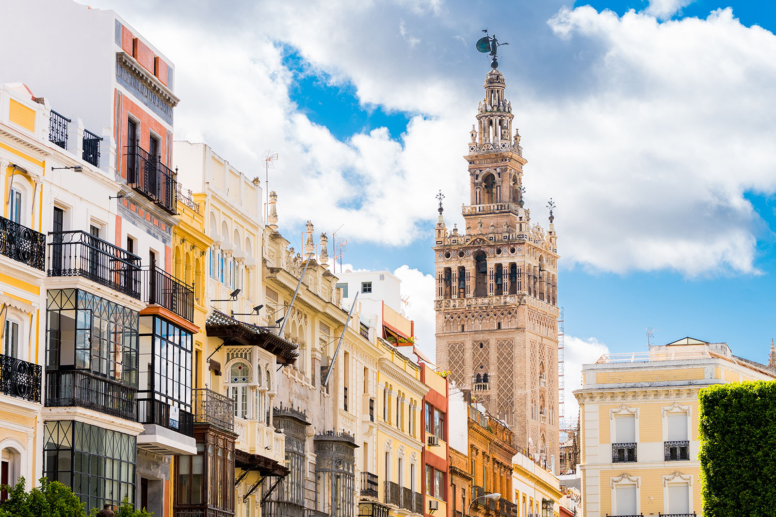 Triana