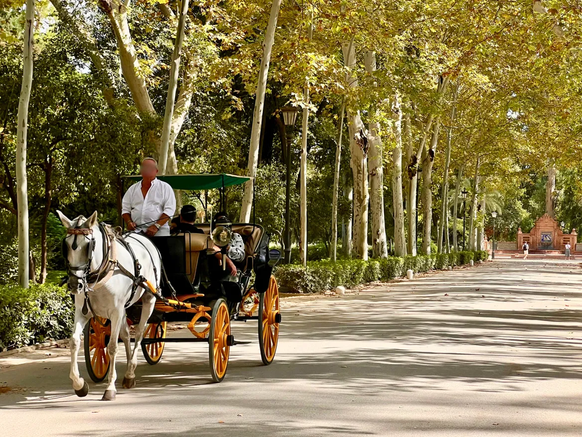Coche de caballos de Sevilla
