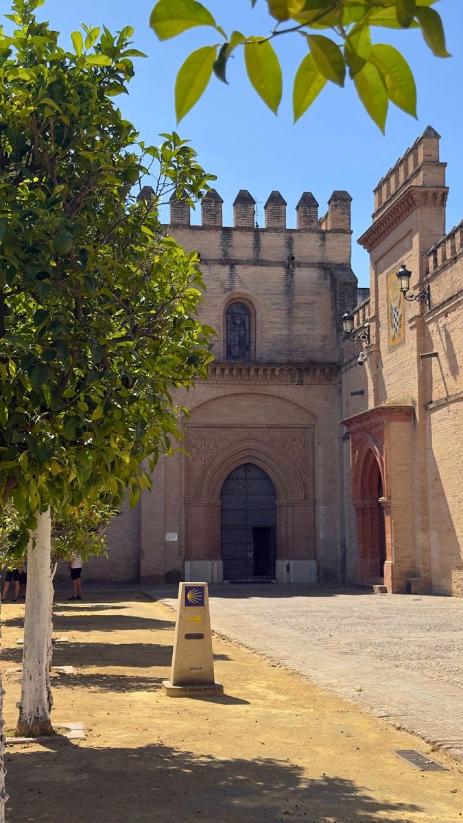 Monasterio de San Isidoro del Campo