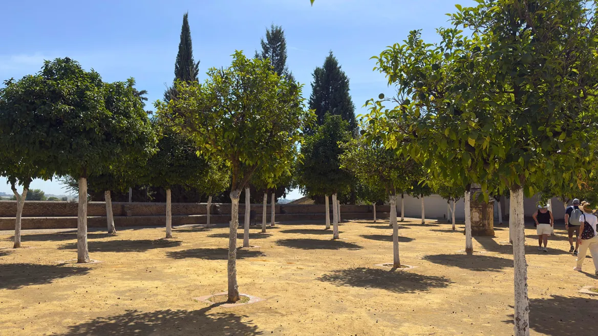 Monasterio de San Isidoro del Campo