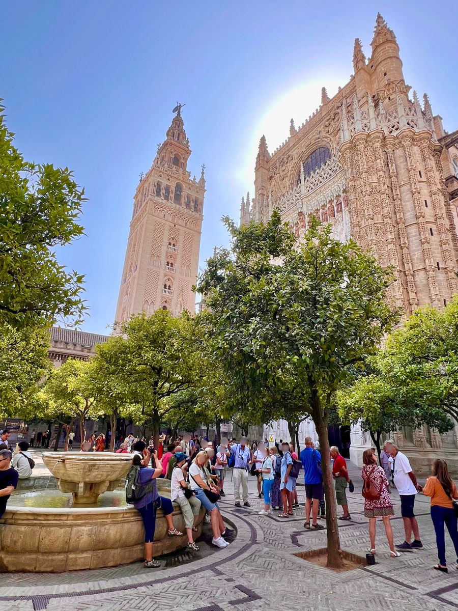 Patio de los Naranjos