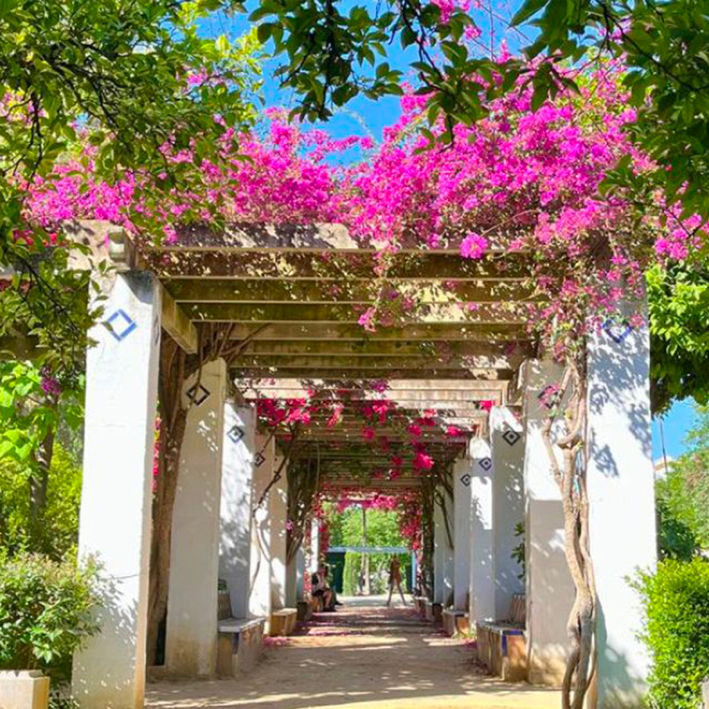 Partez à la découverte du parc de María Luisa - Un oasis de verdure au coeur de Séville