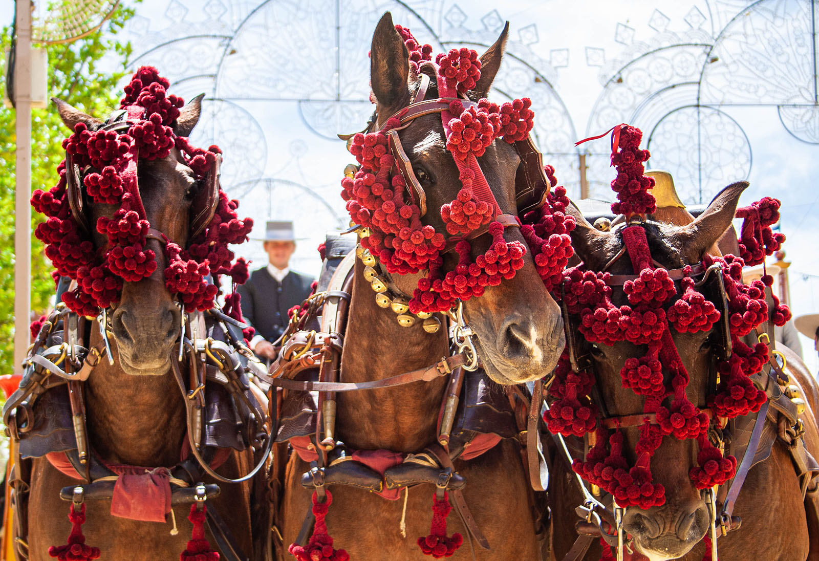 Jerez de la Frontera horses