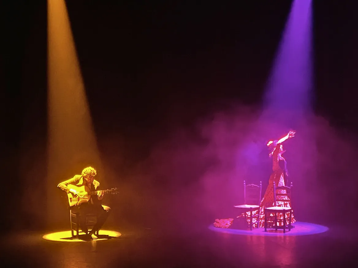 Flamenco Show