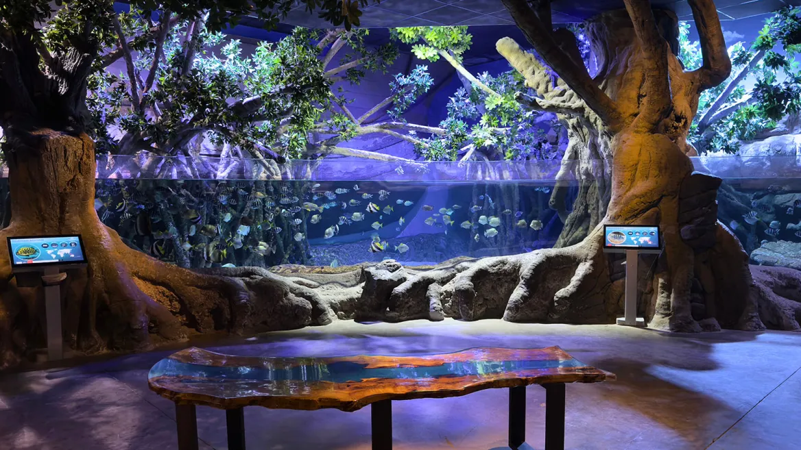 Seville Aquarium