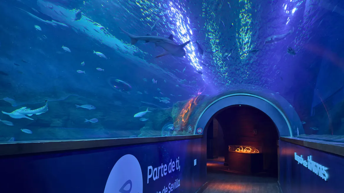 Seville Aquarium