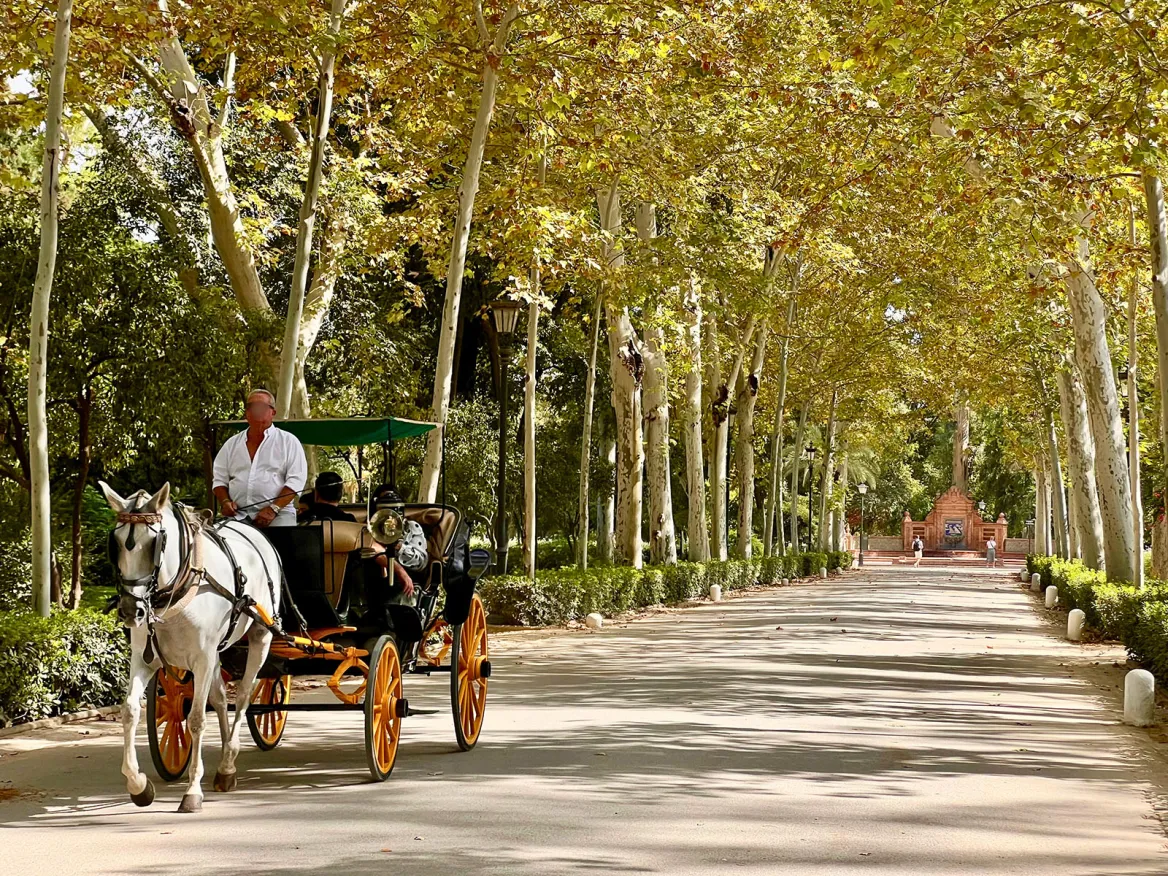 Maria Luisa Park