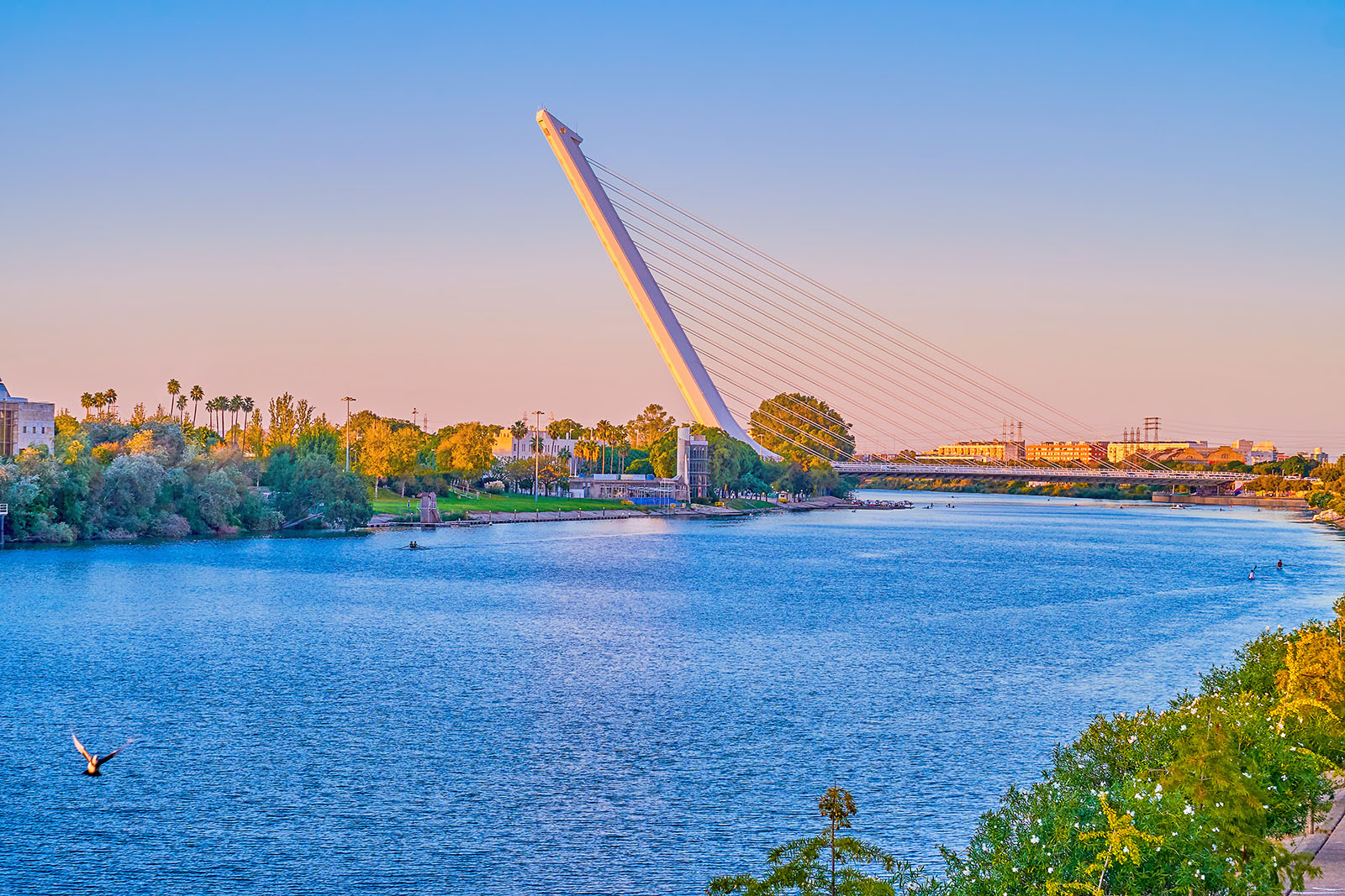 Alamillo Bridge