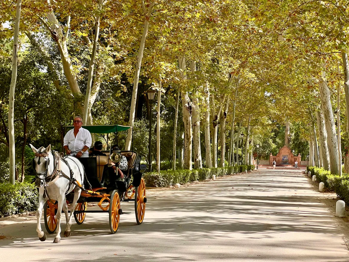 Plaza de España Park
